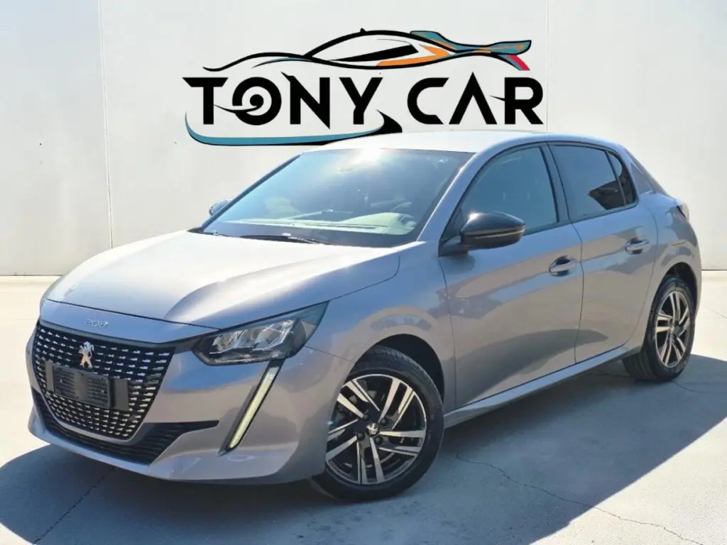 Peugeot 208 1.5 100cv