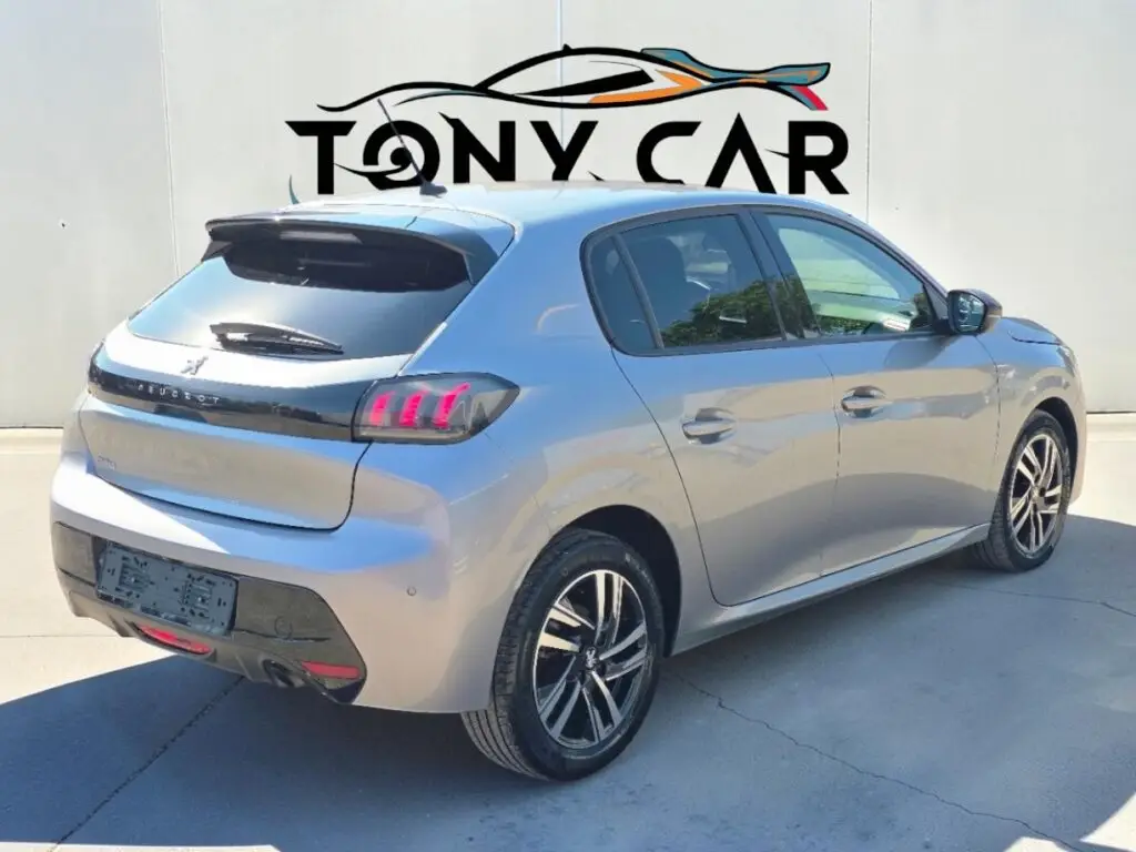 Peugeot 208 1.5 100cv
